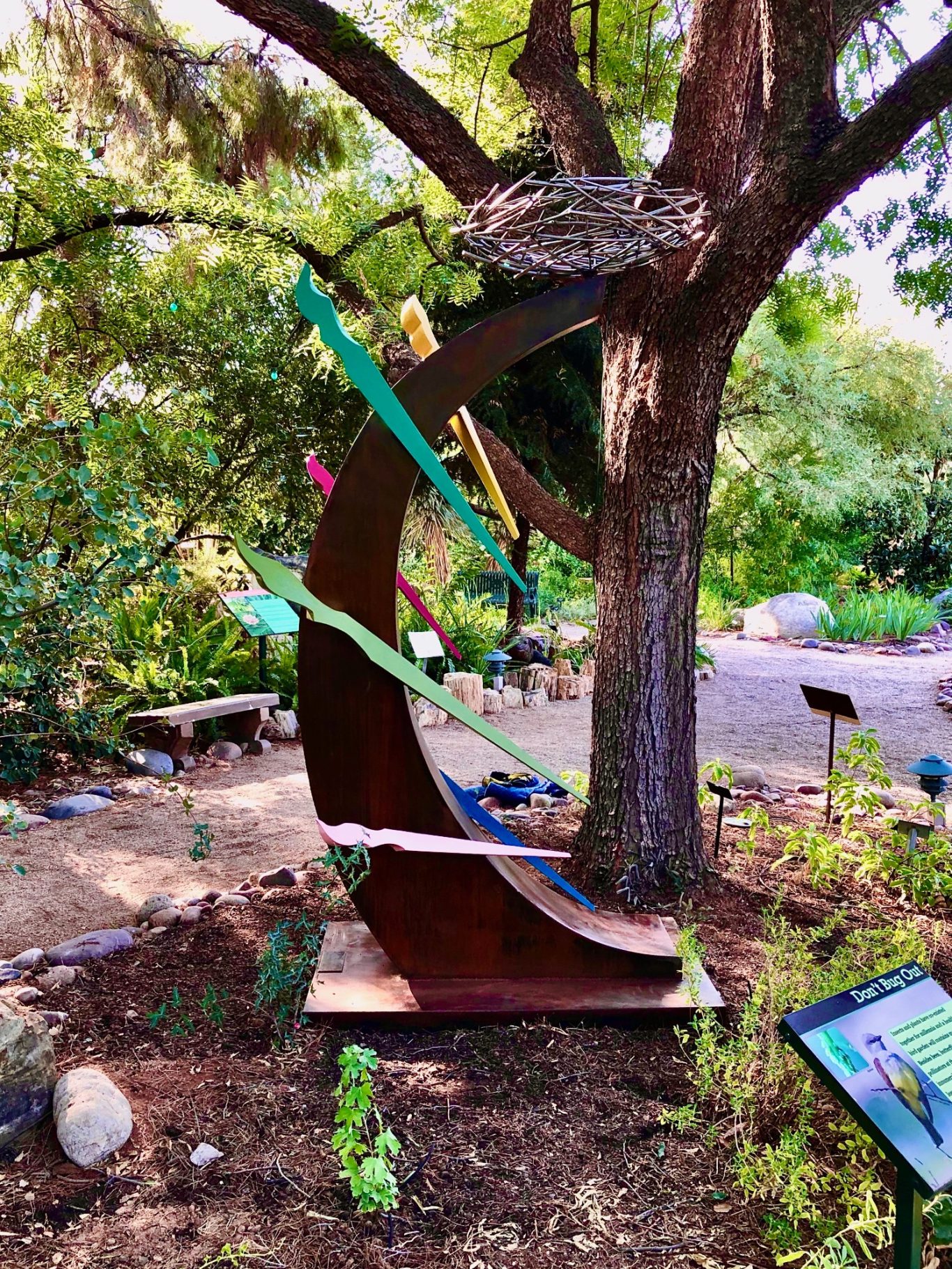 Icarus; Tucson Botanical Gardens 2022